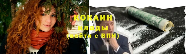 тгк Алзамай
