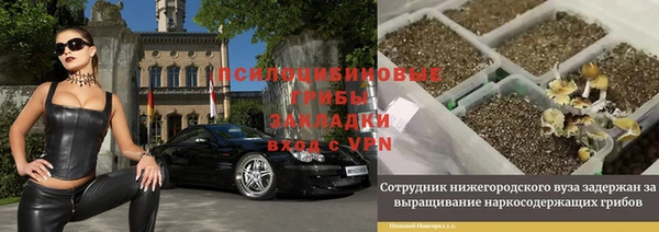 тгк Алзамай