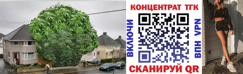 Дистиллят ТГК Wax  купить   Тула 