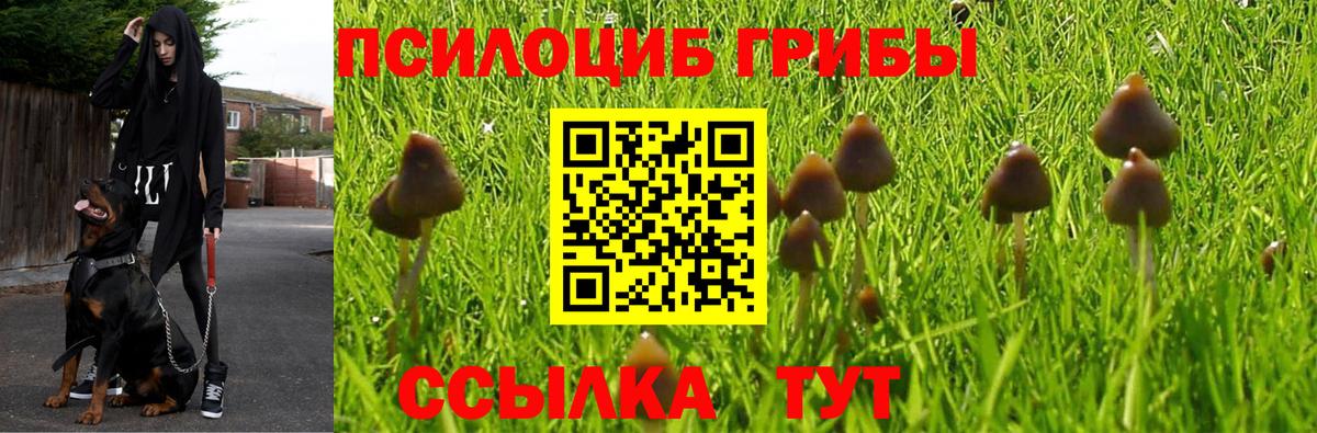 Тула  Псилоцибиновые грибы мухоморы  Вход с VPN  Галлюциногенные грибы MAGIC MUSHROOMS 